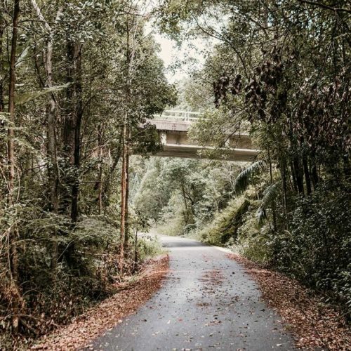 Northern-Rivers-Rail-Trail-1400×729 Image Source: Northern Rivers Rail Trail