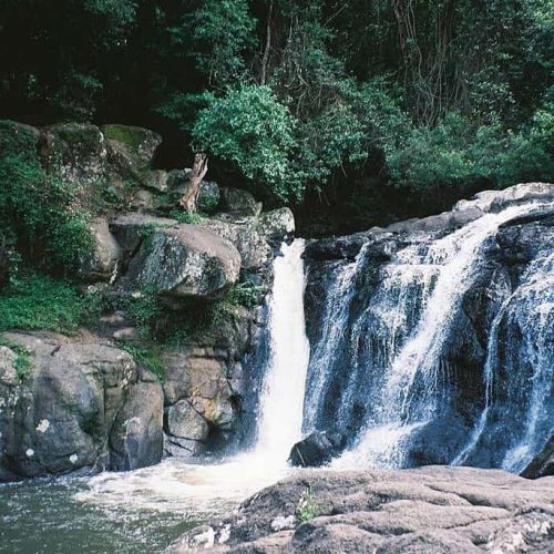 Whian Whian Falls Whian Whian Falls Near Byron Bay