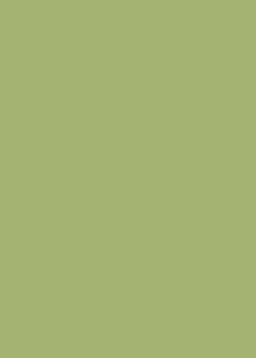 bs-bg-color-4-A5B475 bs-bg-color-4-A5B475
