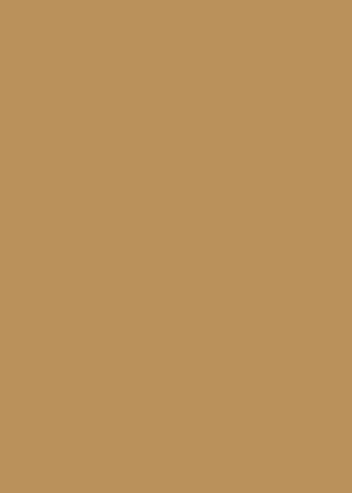 bs-img-bg-gold bs-img-bg-gold