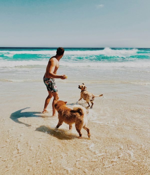 ian-badenhorst-sFT488ydkm0-unsplash Owner playing with dogs at beach